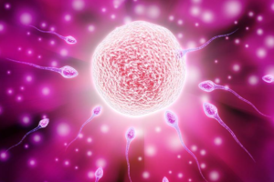 2025年美思满停产了吗？最新消息是什么？