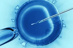 勃锐精300元一盒正常吗？