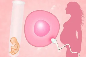 解冻后8细胞变4细胞怎么办？