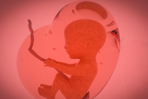 海南第一附属医院冻胚没有续费会怎么样？