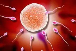 子宫纵膈主要对胎儿什么影响