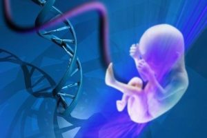 自然怀孕和促排卵怀孕有什么区别