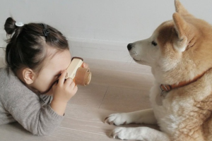 做腹腔镜手术多少钱