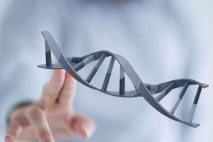 做nt检查需要憋尿吗