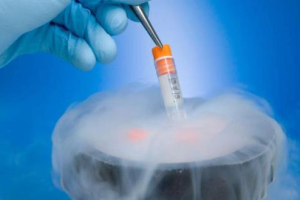 做亲子鉴定一般多少钱