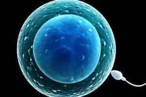 做nt检查具体是检查哪几项