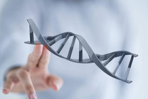 做nt检查需要多长时间