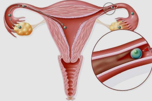 2025年内江市妇幼保健院供精人工授精手术多少钱？