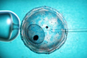 三岁宝宝托儿所可以托管一天的吗？