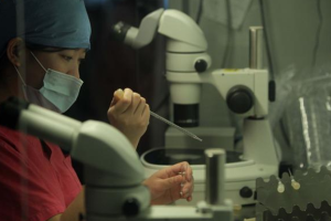 10秒测出怀男孩和女孩