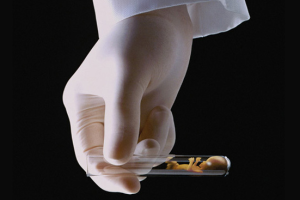 14天测不出怀孕但姨妈也没来