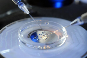 2种高危型hpvdna检测阳性是什么意思