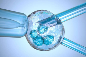 4aa囊胚相当于几级胚胎