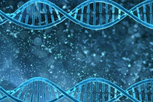 4aa囊胚移植几天着床