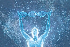 胚胎6ba是什么意思