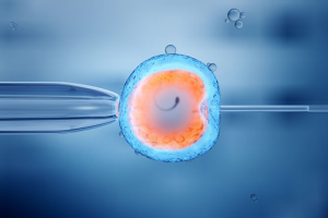 hpv是什么样的图片