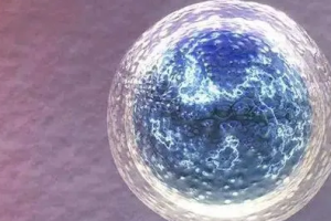 hpv为什么男性没事