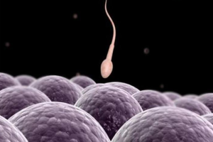 HRT治疗是什么意思