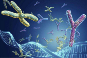 hpv自我检测方法准确吗