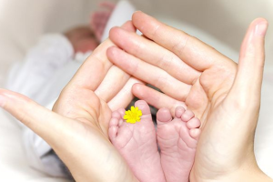 ki67基底(+)是什么意思