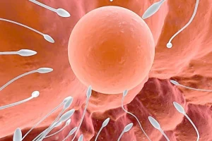 tct结果和活检结果出入大吗