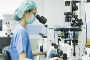 th2细胞是什么细胞