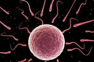 体检报告rh血型阳性什么意思