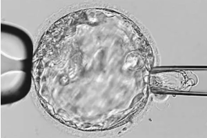 β-hcg乘以4才是hcg吗
