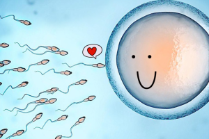 ttm检查多少钱一次男士一般都检查哪些项目？