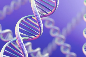 安顺助孕机构有哪些