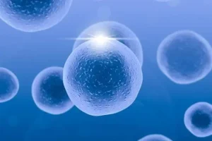 八个月宝宝辅食食谱一天安排表