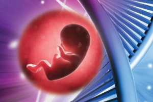 半年后amh升高了一倍能自然受孕吗