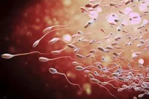 怀孕前需要做哪些准备？