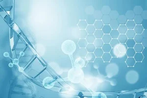 备孕需要吃什么容易怀孕