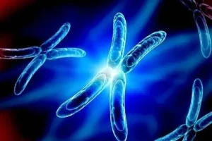 避孕药和减肥药能一起吃吗