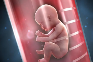 补佳乐4粒内膜疯长,体重会不会也疯涨