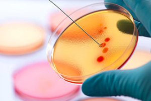 补佳乐副作用有哪些症状