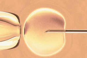 不生二胎的女人都是聪明女人