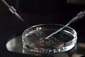 测孕纸多少天可以测出来