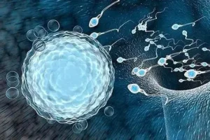 产检费用怎么报销