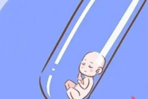 达必佳打完多久会排卵