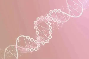 打完疫苗可以拔牙吗