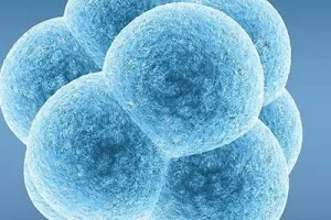 长沙试管婴儿医院排名靠前的是哪几家？