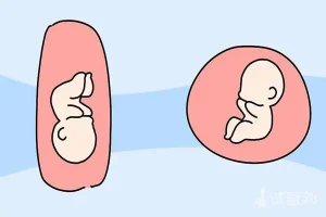 2025年浙江舟山试管婴儿花费明细表