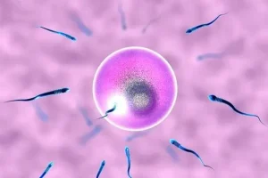 无锡四院生殖科怎么样？做一次试管要多少钱？