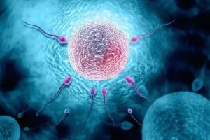 2025年全国三代试管医院排名前十