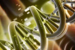 2025在湖北武汉第三代试管婴儿多少钱？