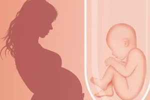 2025年在深圳试管婴儿费用大约多少？