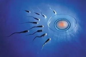 武汉市试管婴儿医院排行榜中，有助孕的医院吗？