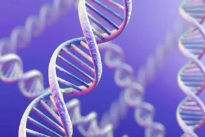 试管婴儿技术上海哪家医院排名最好？